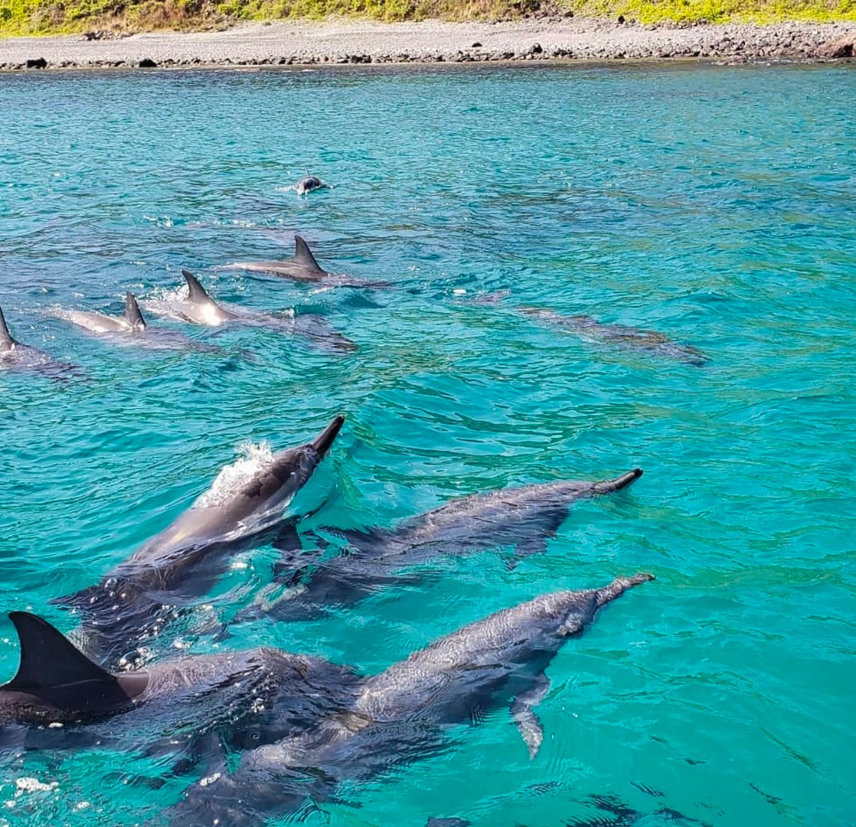 Imagem do passeio de barco